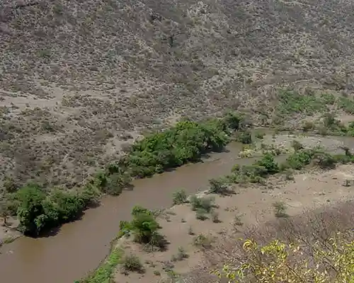Lower valley of Awash Getomovalley tours